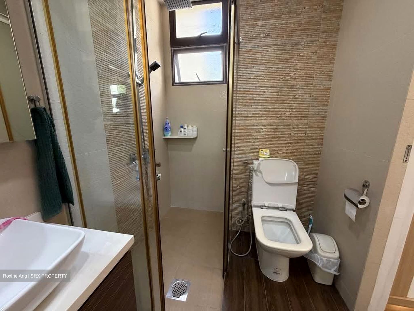 Seletaris (D27), Condominium #538995891